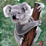 Koala Bear by niveky