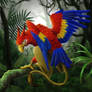 Macaw Griffon