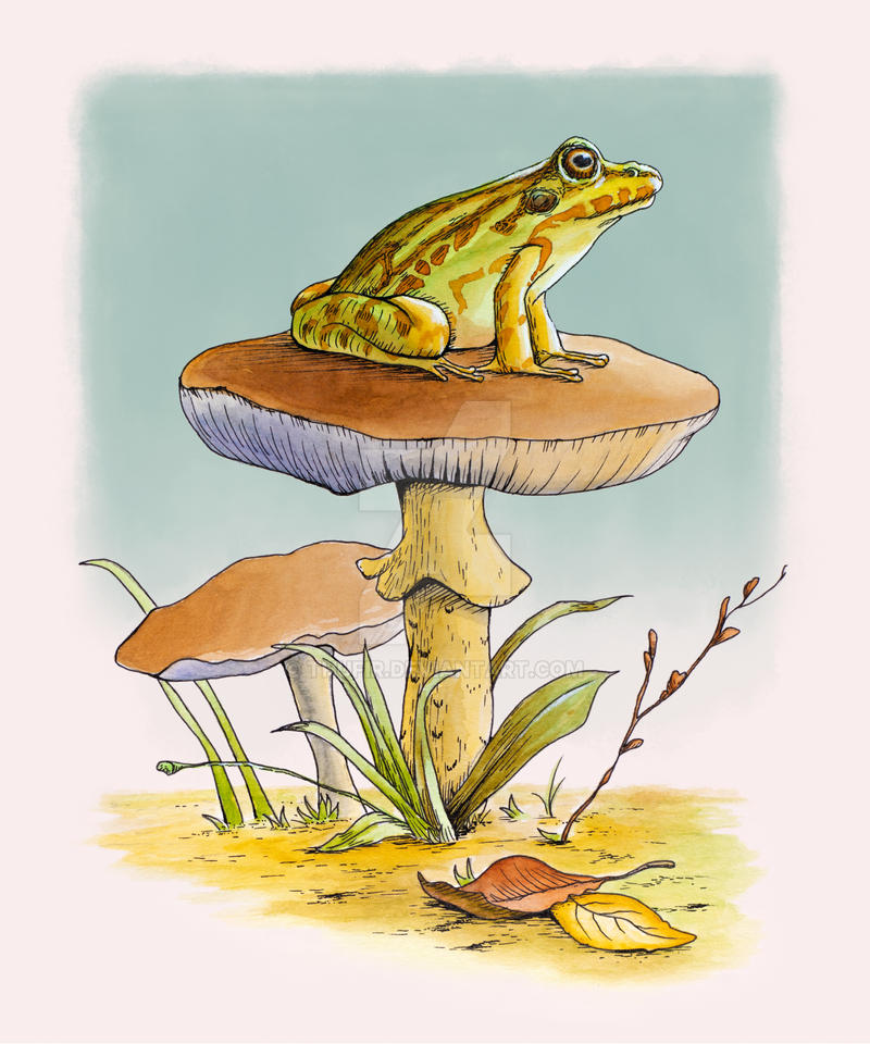 Frog and mushroom by Thufir on DeviantArt