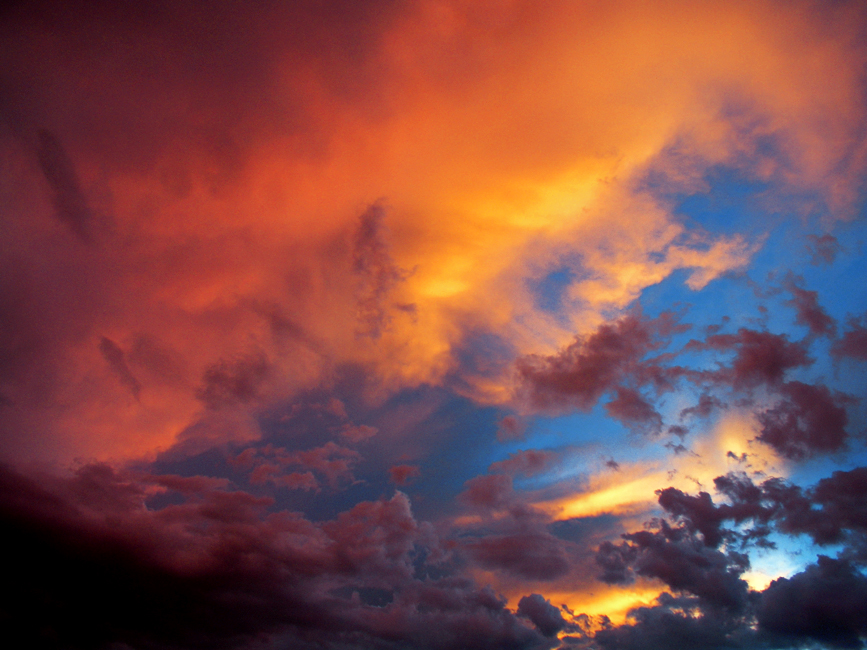 arizona skyways