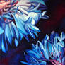 Cornflower Divided