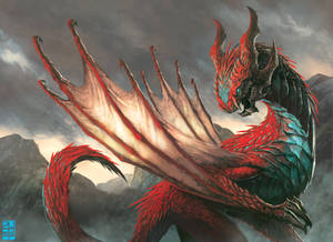 Akram- by BiagioDAlessandro Akram- by BiagioDAlessandro