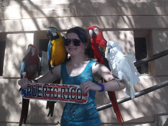Me and Four Parrots in Puerto Rico