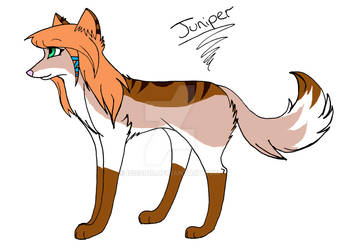 Juniper Ref By Isis2010-d4oztmu