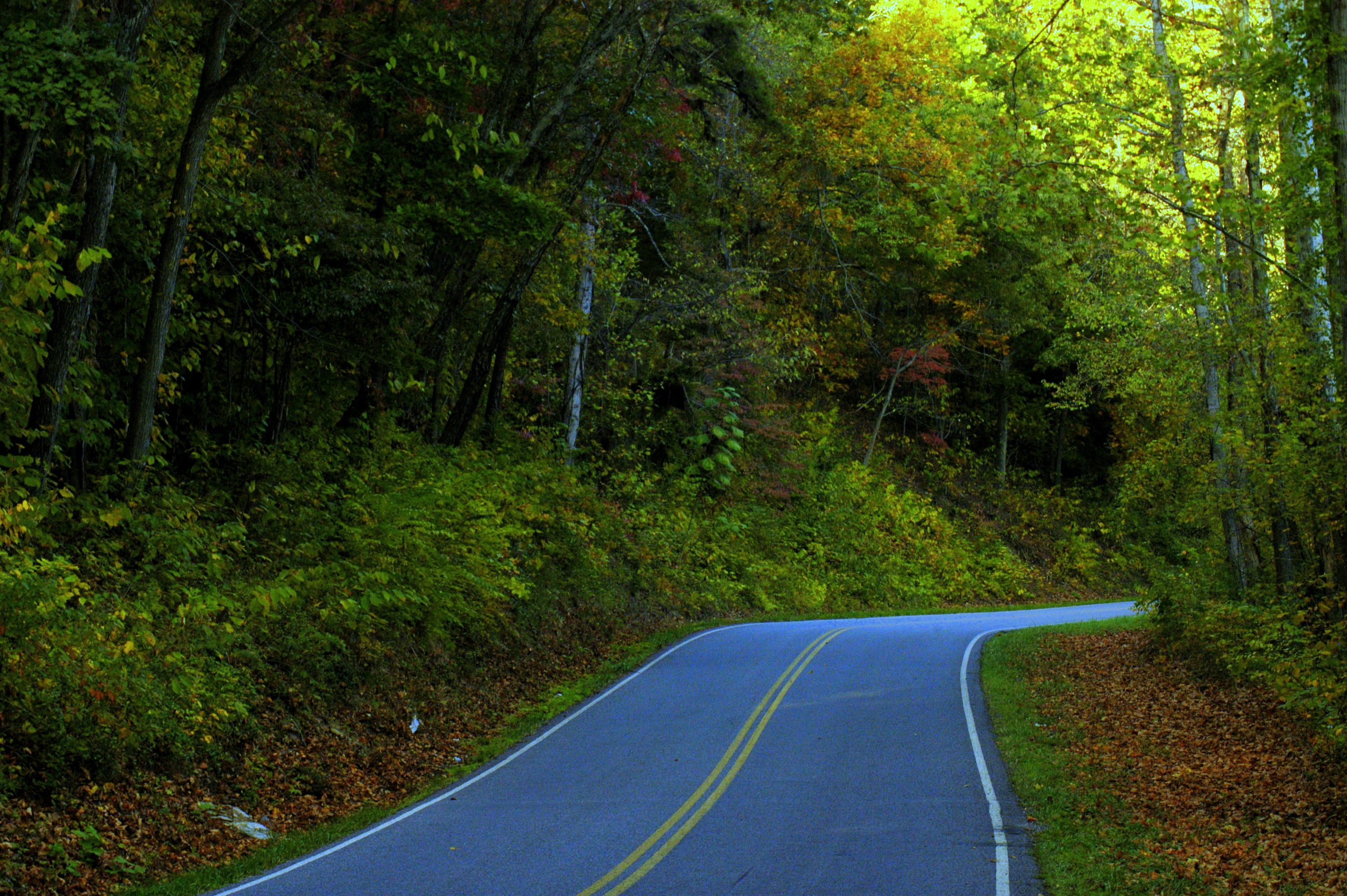 Rt 43 near Leesville Dam in Virginia