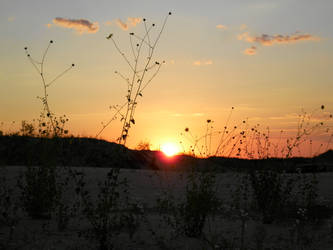 Sunset On the Sandhills