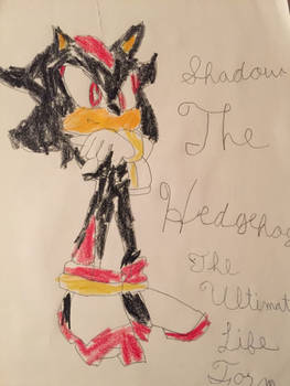 Shadow The Hedgehog drawing by Me