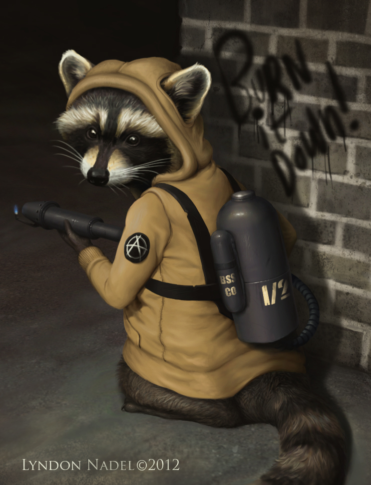Racoon Anarchist
