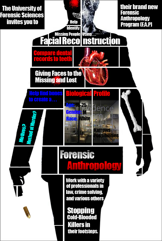 Forensic Poster by BK-Creations on DeviantArt