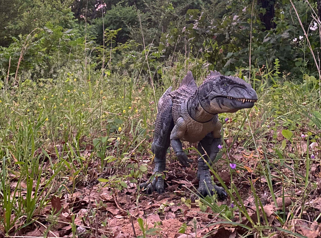 Lizard From Add Lizard by bahablastfan51015 on DeviantArt
