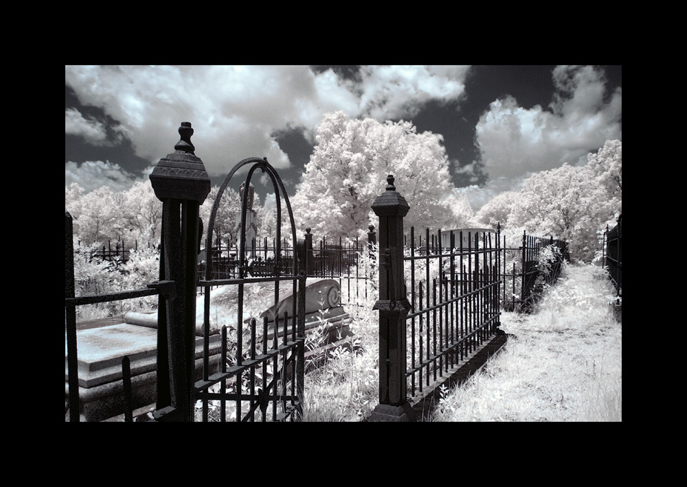 cemetary2 - infrared