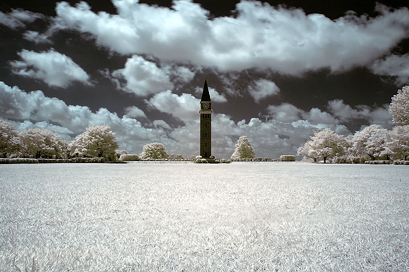 clock tower - infrared