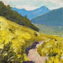 Mountain Air Study