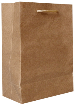 Paper Bag