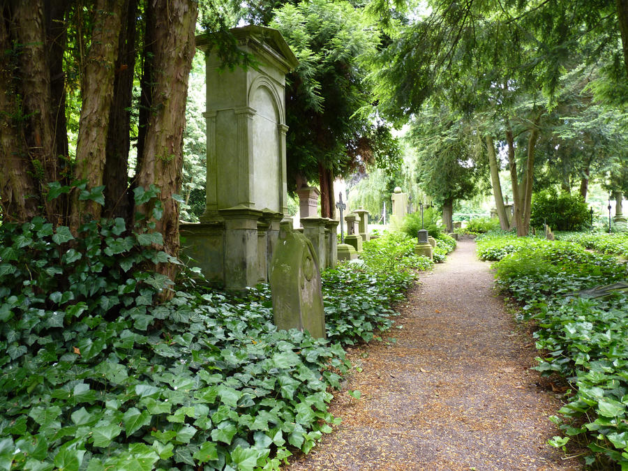 Cemetery in Forest