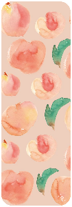 Peach Divider | FTU