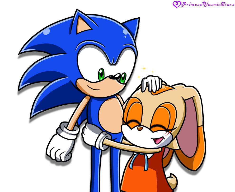 Cream Hugging Sonic by PrincesayasminStars on DeviantArt