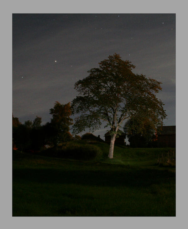 Tree Render Deviantart A Tree by cr8ing on DeviantArt