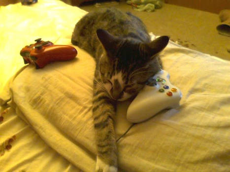 I R Hoggin Ur Xbox Controller