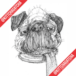 Mr. Pug - 002