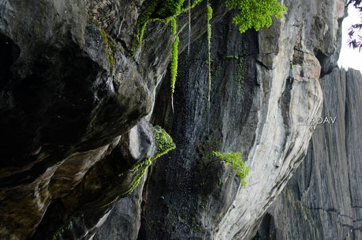 Rain on rocks