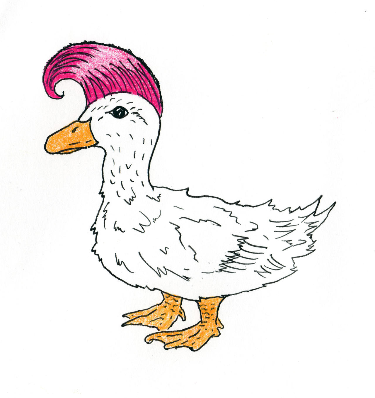 Punk Duck