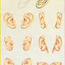TUTORIAL - EARS