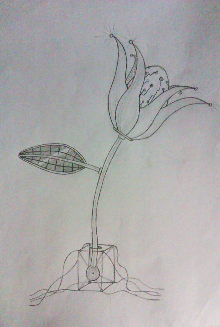 4- Small InAnimate object coming to life by FrozenCore94 on DeviantArt