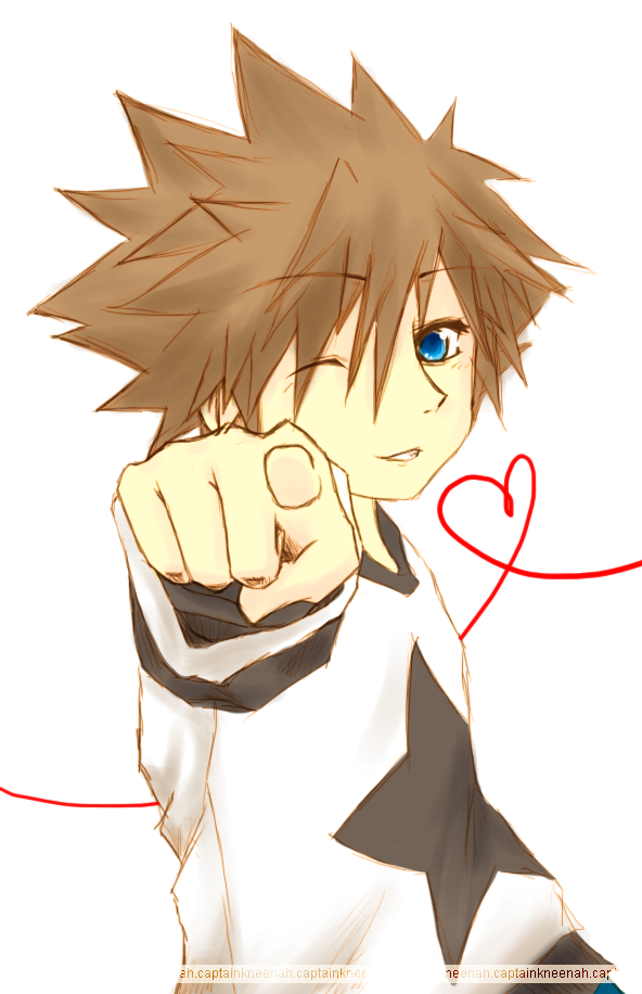 Happy Valentines Day, Sora