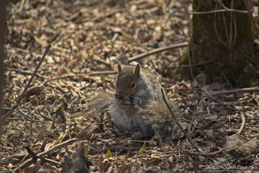 Regional Park, Longueuil, Qc - 07