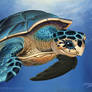 Turtle.TrueBlue.Szekeres