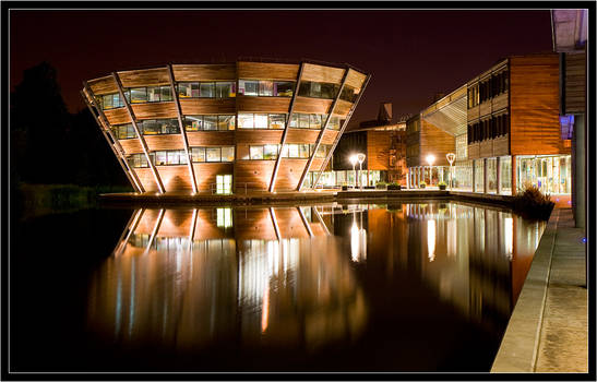 The Djanogly Centre III