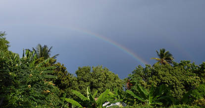 Rainbow on de island mon