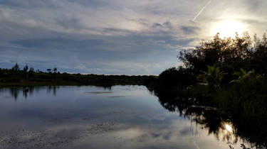 Clifton Wetland Evening