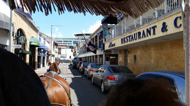 Horse 'n' Buggy Ride