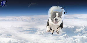 Pit in Space