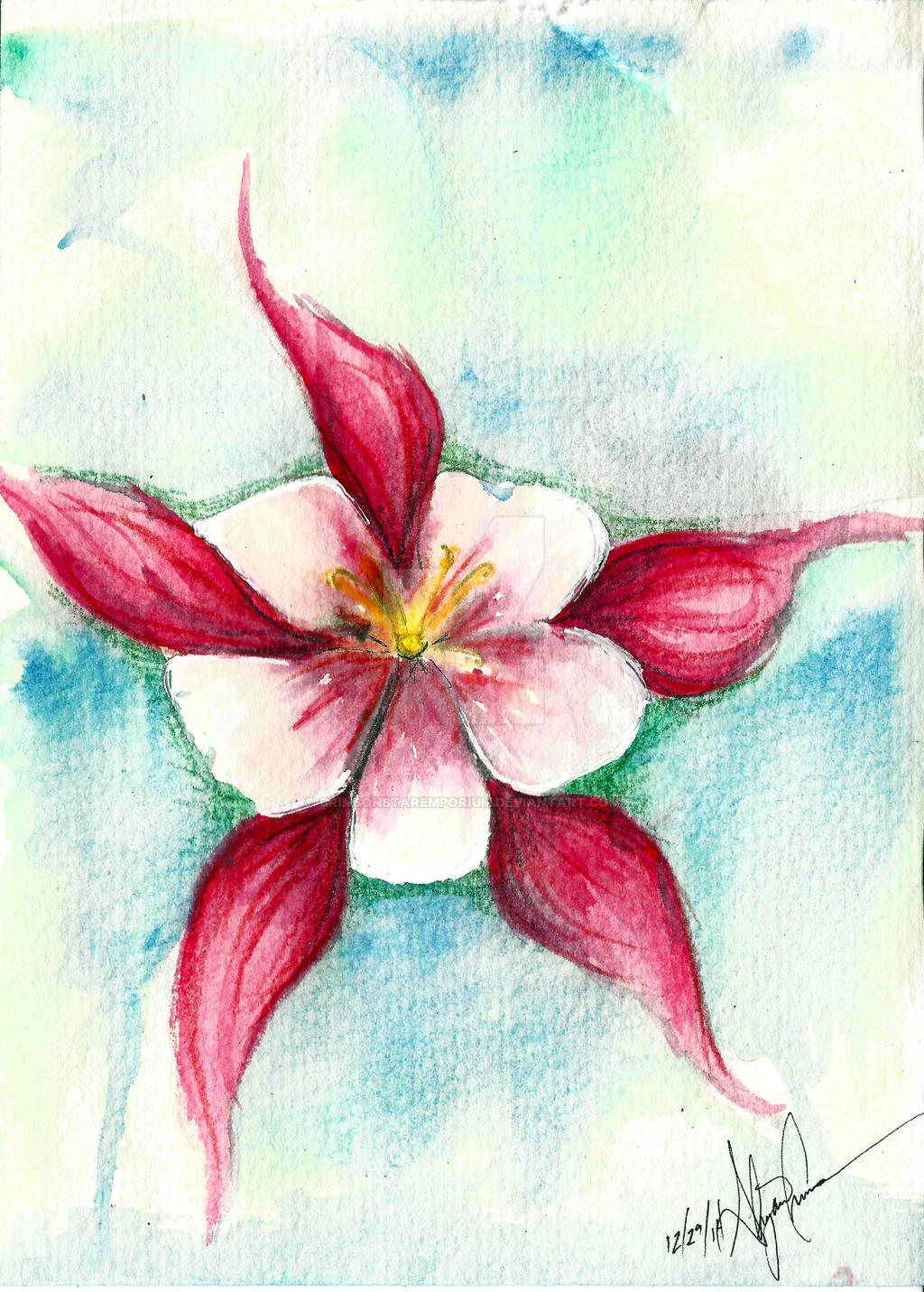 Crimson Star watercolor