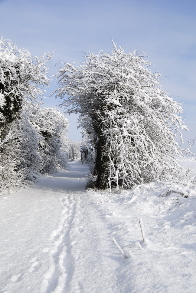 snow walk