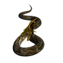 Dragon Snake 2 3d