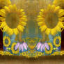 Sunflower Background