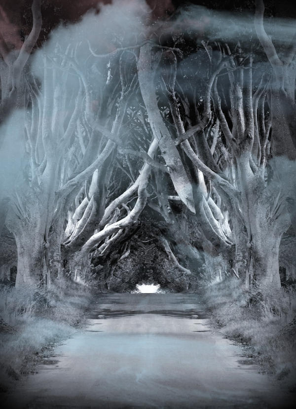 Spooky Forest
