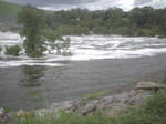 Flooded River Stock