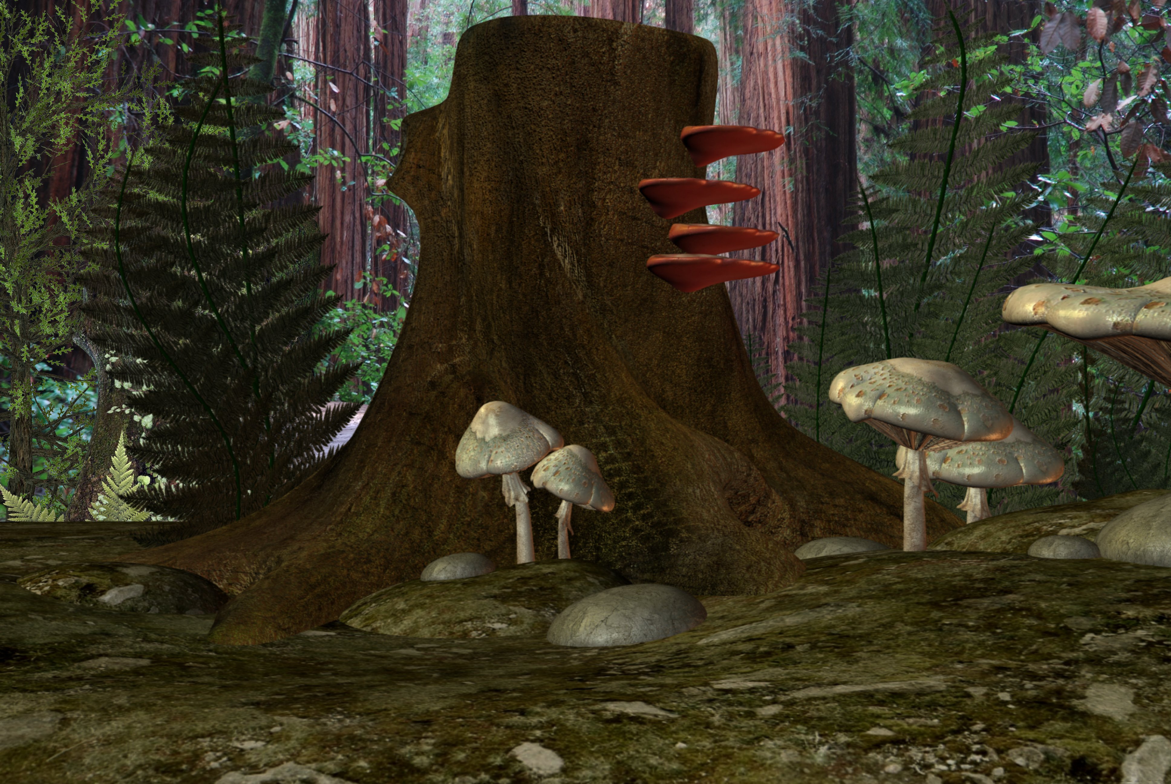 Forest Mushrooms Fantasy Backg