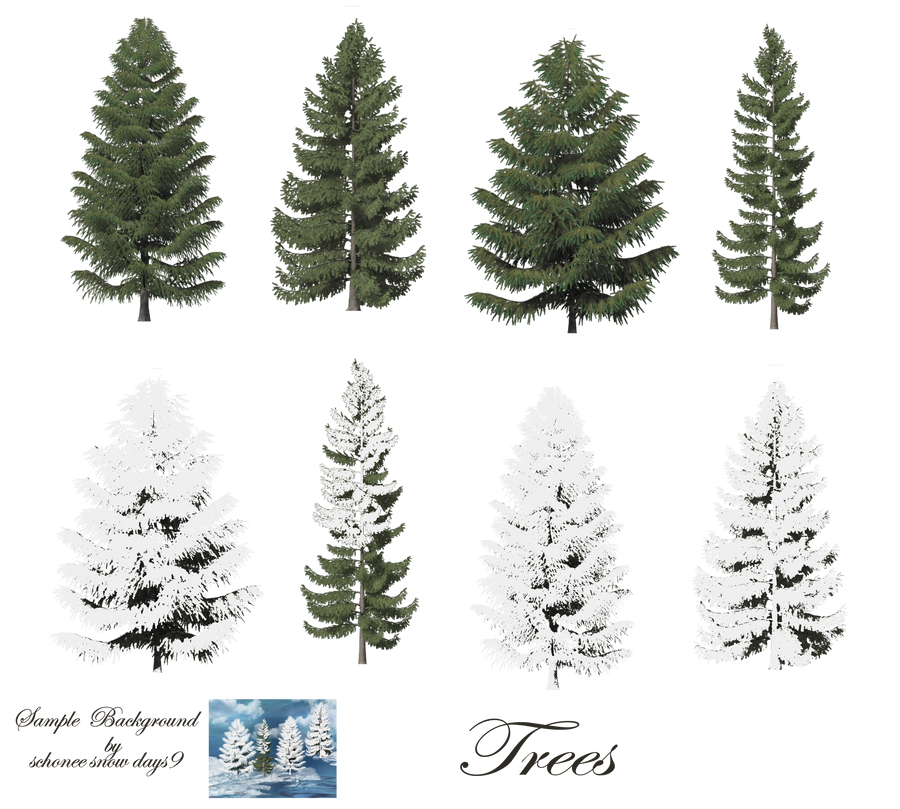 Pine Trees png stock