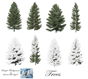 Pine Trees png stock