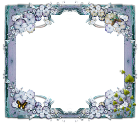 Butterfly Frame png
