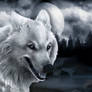 Wolf Spirit