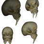 Monster Skulls png