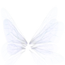 White Wing png