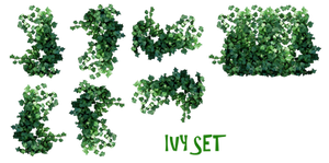 REAL IVY PLANTS PNG